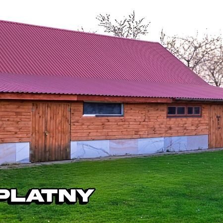 Agroturystyka Nielisz Zamosc - Kwatery Przy Skansenie Bagian luar foto